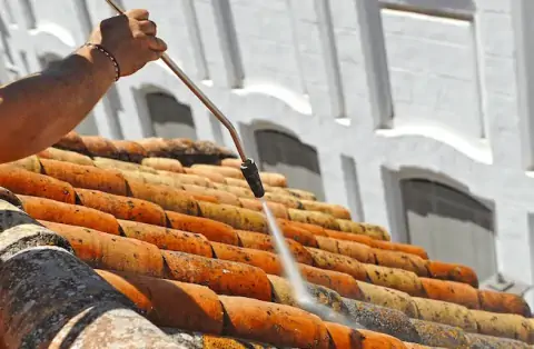 Démoussage de toiture à Odars